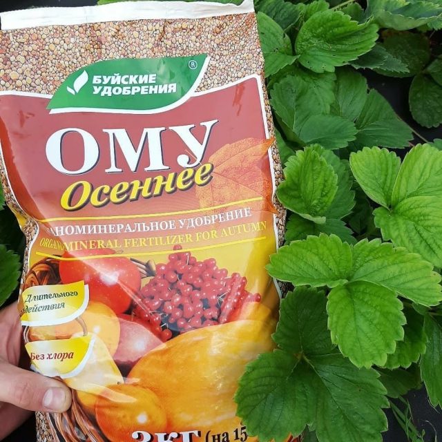 Специализированное удобрение «ОМУ Осеннее» Специализированное удобрение «ОМУ Осеннее»