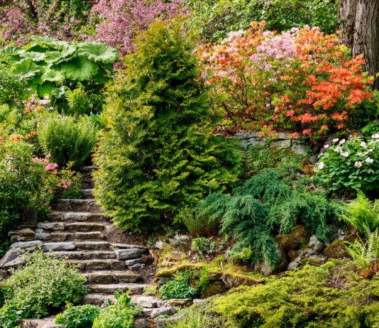 Как укрепить склон с помощью растений? - Ландшафтный дизайн Как укрепить склон с помощью растений?