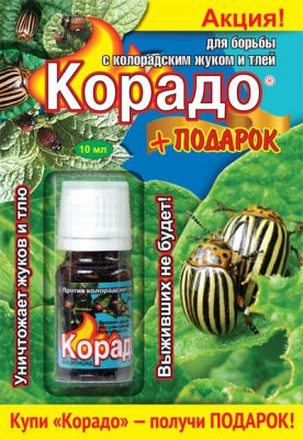 «Корадо» — эффективный препарат для борьбы с колорадским жуком и тлей «Корадо» — эффективный препарат для борьбы с колорадским жуком и тлей