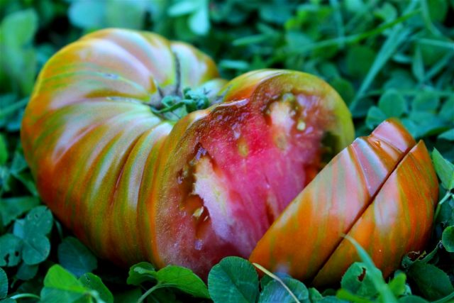 Сердцевидные томаты — особенности сортов и ухода за ними