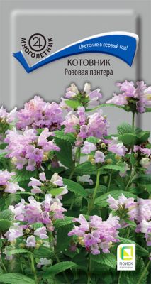 Котовник «Розовая пантера» Котовник «Розовая пантера»