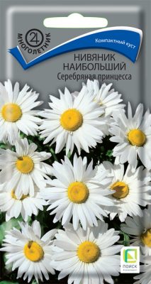 Нивяник «Серебряная принцесса» Нивяник «Серебряная принцесса»
