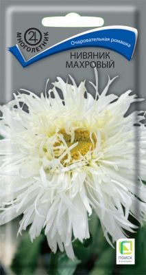 Нивяник «Махровый» Нивяник «Махровый»