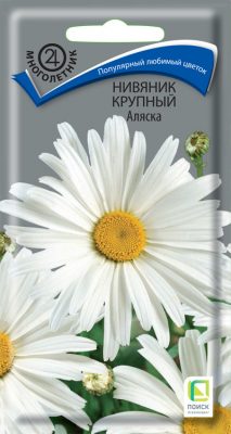 Нивяник «Аляска» Нивяник «Аляска»