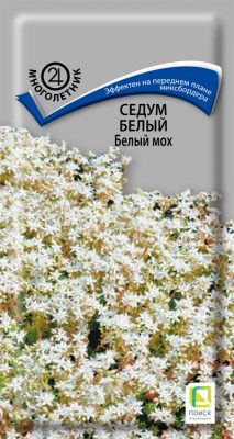 Седум белый «Белый мох» Седум белый «Белый мох»