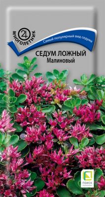 Седум ложный «Малиновый» Седум ложный «Малиновый»