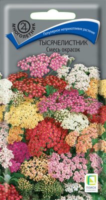 Тысячелистник «Смесь окрасок» Тысячелистник «Смесь окрасок»