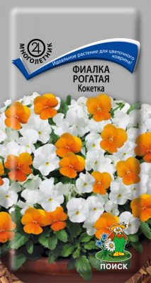 Фиалка рогатая «Кокетка» Фиалка рогатая «Кокетка»
