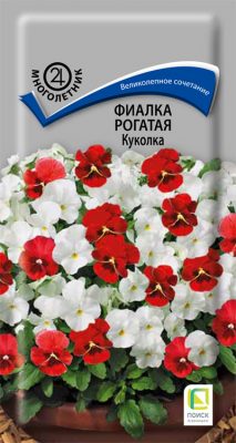 Фиалка рогатая «Куколка» Фиалка рогатая «Куколка»