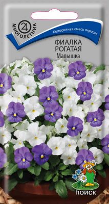 Фиалка рогатая «Малышка» Фиалка рогатая «Малышка»