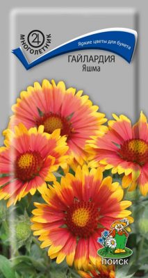 Гайлардия «Яшма» Гайлардия «Яшма»