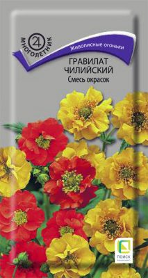 Гравилат чилийский «Смесь окрасок» Гравилат чилийский «Смесь окрасок»