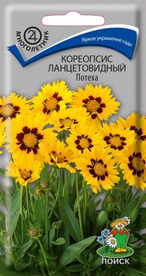 Кореопсис «Потеха» Кореопсис «Потеха»