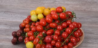 Преимущества черри-томатов - Агрофирма «Поиск» Преимущества черри-томатов