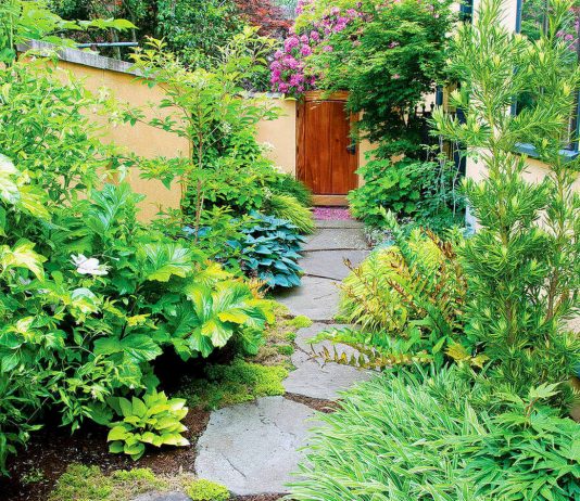 Как обустроить дизайн узкого бокового двора? - Ландшафтный дизайн Как обустроить дизайн узкого бокового двора?