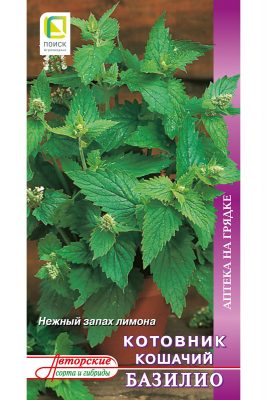 Котовник кошачий «Базилио» Котовник кошачий «Базилио»