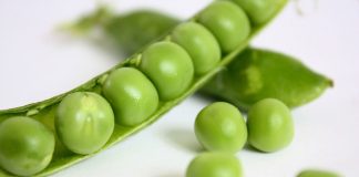 Царь из семейства бобовых