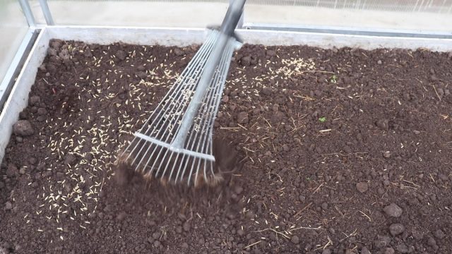 Перекопка и оздоровление почвы Перекопка и оздоровление почвы
