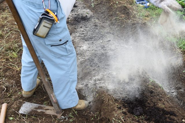 Начните с простого: внесите в почву золу — и для контроля кислотности, и для оздоровления грунта Начните с простого: внесите в почву золу — и для контроля кислотности, и для оздоровления грунта
