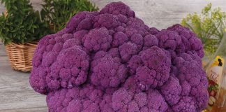 Капуста — вкусно и полезно!
