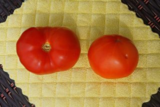 Томат «Гном Розелла Гигант» (Giant Dwarf Rosella Tomato) Томат «Гном Розелла Гигант» (Giant Dwarf Rosella Tomato)