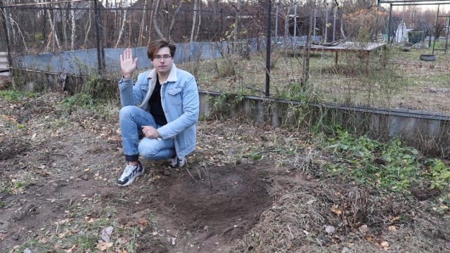 Как правильно посадить смородину осенью? Как правильно посадить смородину осенью?