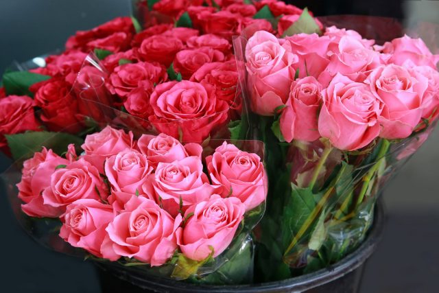 «Для рынка» подходят сорта роз, которые хорошо стоят в срезке и имеют способность к повторному цветению