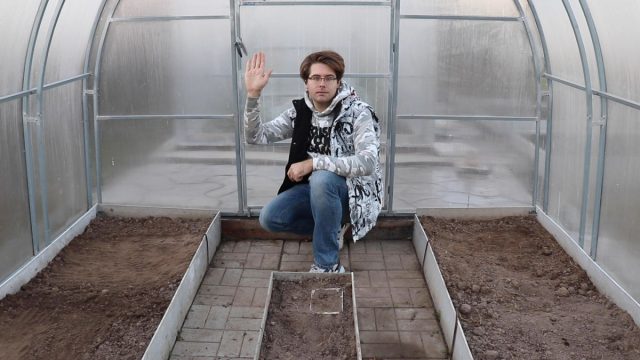 Подзимний посев овощей, зелени и цветов в теплице Подзимний посев овощей, зелени и цветов в теплице