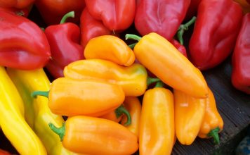 Перец сладкий «Лисичка» красная, жёлтая и оранжевая