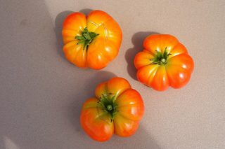 Томат «С острова Бали» (Bali Tomato) Томат «С острова Бали» (Bali Tomato)