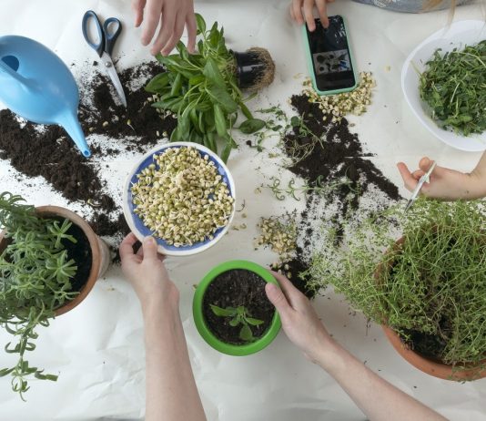 Лунный календарь садовода и огородника на январь 2022