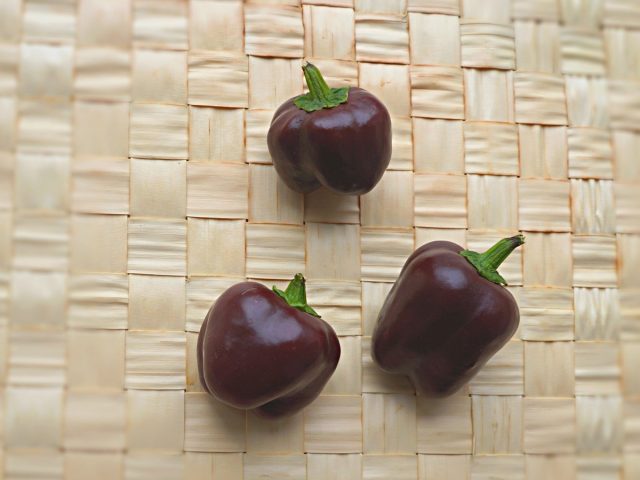 Перец сладкий «Мини Белл шоколад» (Capsicum annuum ‘Mini Bell Chocolate’) Перец сладкий «Мини Белл шоколад» (Capsicum annuum ‘Mini Bell Chocolate’)