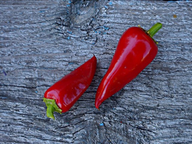 Перец сладкий «Помада» (Capsicum annuum ‘Lipstick’) Перец сладкий «Помада» (Capsicum annuum ‘Lipstick’)