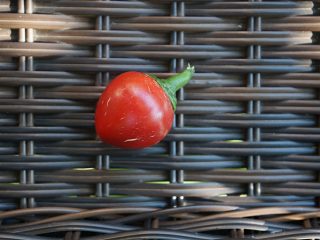 Перец сладкий «Черри Сладкий» (Capsicum annuum ‘Sweet Cherry Peppers’) Перец сладкий «Черри Сладкий» (Capsicum annuum ‘Sweet Cherry Peppers’)