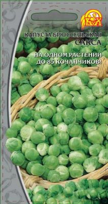 Капуста брюссельская «Сакса» Капуста брюссельская «Сакса»