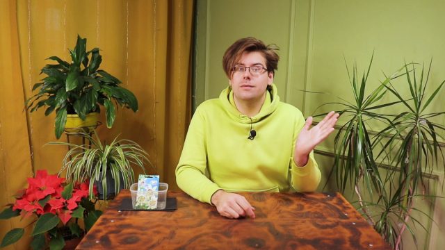 Как выращивать пассифлору в домашних условиях? Как выращивать пассифлору в домашних условиях?