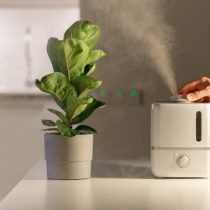Единственный способ повышения влажности для растений, который и правда работает — это повысить её во всей комнате Единственный способ повышения влажности для растений, который и правда работает — это повысить её во всей комнате