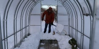 Зачем нужен снег на грядках в теплице?
