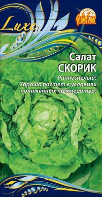 Салат «Скорик» Салат «Скорик»