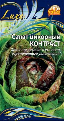 Салат цикорный «Контраст» Салат цикорный «Контраст»