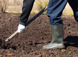 Как правильно весной подготовить грядки к посадкам?
