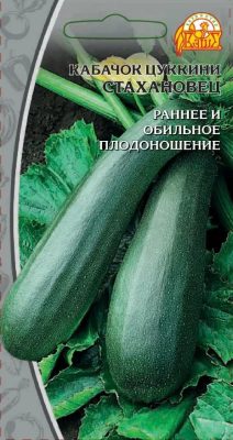 Кабачок цуккини «Стахановец» Кабачок цуккини «Стахановец»