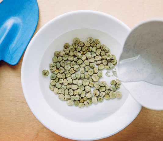 Тест на всхожесть семян в стакане с водой — работает или нет? - Бахчевые культуры Тест на всхожесть семян в стакане с водой — работает или нет?