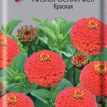 Цинния низкорослая Фея Красная Цинния низкорослая Фея Красная