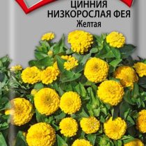 Цинния низкорослая Фея Желтая Цинния низкорослая Фея Желтая