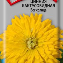 Цинния кактусовидная Бог солнца Цинния кактусовидная Бог солнца