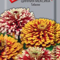 Цинния Мексика Табаско Цинния Мексика Табаско