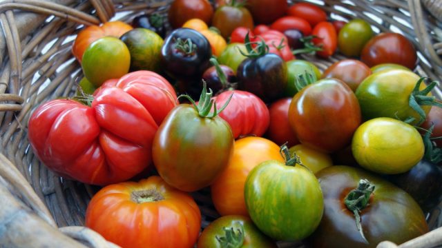Как не ошибиться с томатами — простые правила выбора