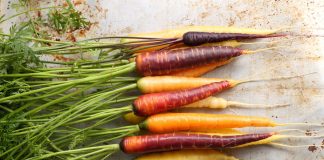 Морковная палитра — о разноцветной моркови