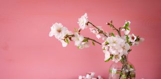 Весеннее настроение: тонкости выгонки кустарников